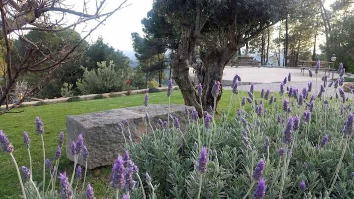 הוילה מונצ'יק Quinta Da Idalina מראה חיצוני תמונה