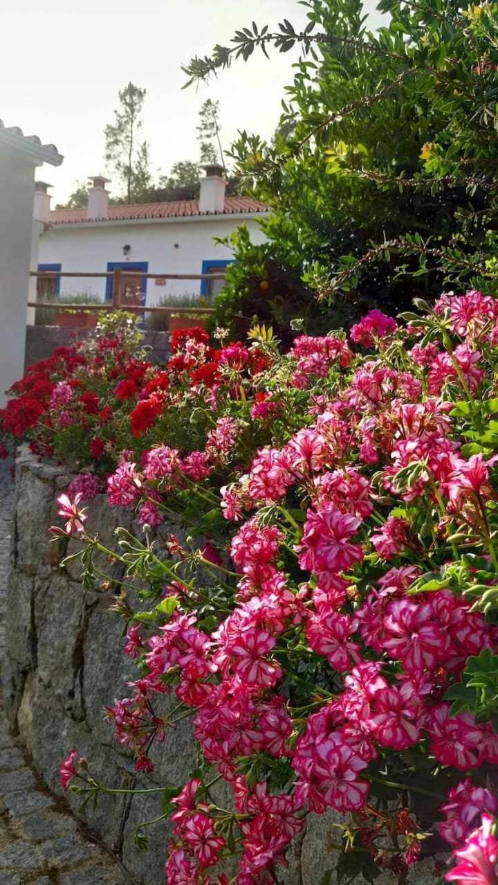 הוילה מונצ'יק Quinta Da Idalina מראה חיצוני תמונה