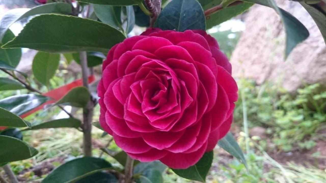 הוילה מונצ'יק Quinta Da Idalina מראה חיצוני תמונה