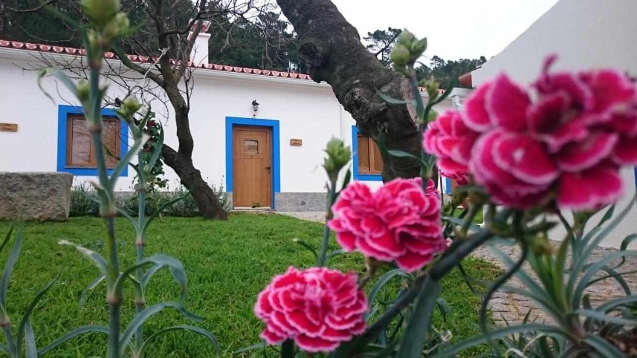 הוילה מונצ'יק Quinta Da Idalina מראה חיצוני תמונה