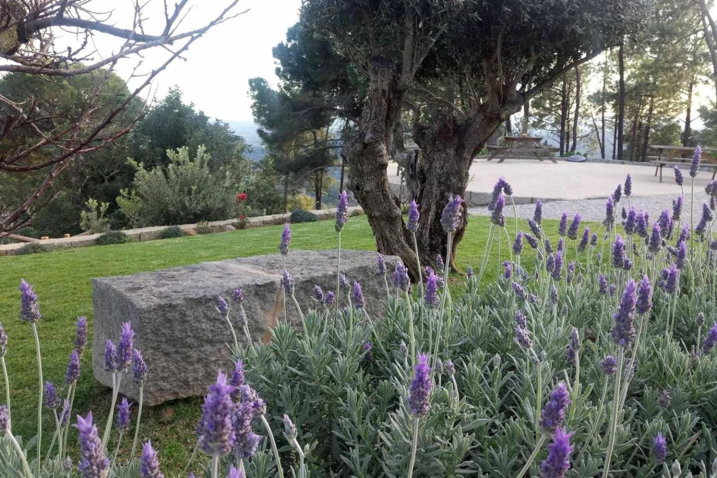 הוילה מונצ'יק Quinta Da Idalina חדר תמונה